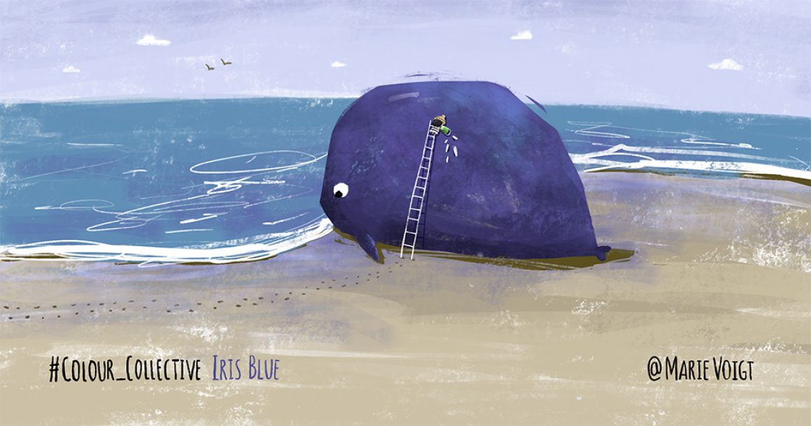 Colour Collective – Iris Blue